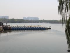 -大兴滨河森林公园