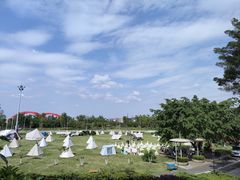 -国际非物质文化遗产博览园