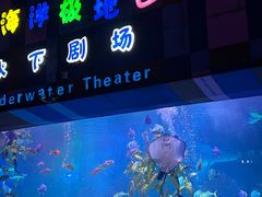-泉城欧乐堡海洋极地世界