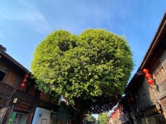 -三坊七巷历史文化街区