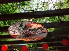 -白马涧龙池景区