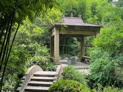 -汇龙潭