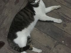 -滇香肴·云南菜蒸汽石锅鱼(云南北路店)
