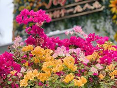 -勝記酒家·37年老字号·经典粤菜(荔枝公园店)
