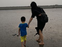 -南汇嘴观海公园