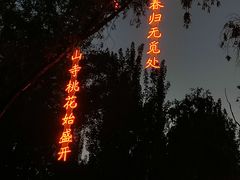 -万泉公园