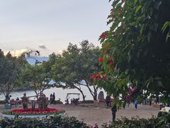 -大理老字号·舟渔的鱼野生菌海景餐厅(双廊店)