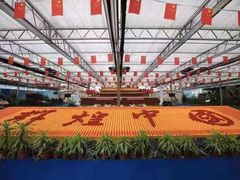 -兰陵国家农业公园