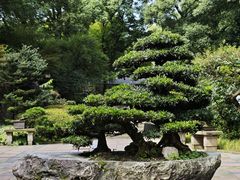 -南山植物园