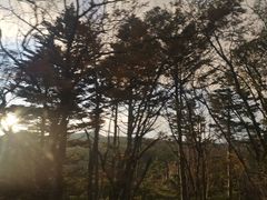 -富士山吉田線五合目
