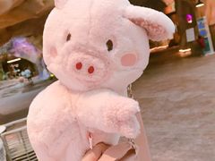 -杭州开元森泊度假乐园