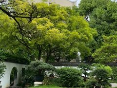 -上海醉白池公园