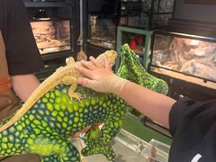 -FAIRYLAND龙族星球主题餐厅(凯丹广场店)