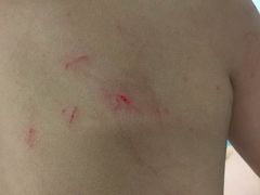 -上海棕榈滩海景酒店