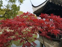 -韩湘水博园