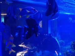 -上和臻品中国菜(花园街店)