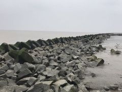 -南汇嘴观海公园