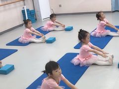 -梧桐花语舞蹈培训中心(潞城校区)