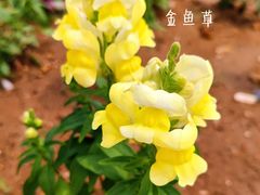 -羊亭河湿地公园