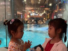 -帝企鹅自助餐厅•儿童岛•真企鹅(长隆企鹅酒店)