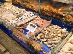 水产区-高佳庄·舟山海鲜(海景旗舰店)