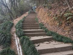 -杭州半山国家森林公园