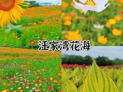 -老鼎万春卤菜(五代传承创始老店)
