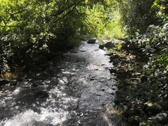 -广州市石门国家森林公园