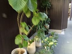 -阿伟海鲜楼·福建菜(涵江店)