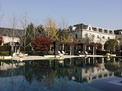-天伦里餐厅(绿城桃花源店)