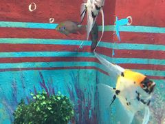 -常州海昌海洋探索馆