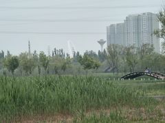 -永定河休闲森林公园