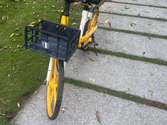 -深圳湾公园(南山区)