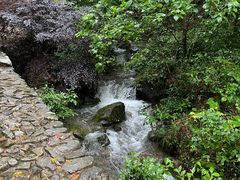 -仙霞关景区