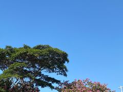 -深圳湾公园(南山区)