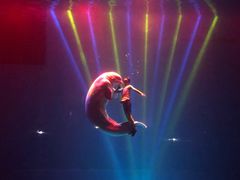 -芜湖新华联大白鲸海洋公园