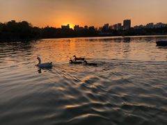 -黄兴公园
