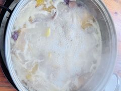 -15年老字号鑫鑫猪肚鸡·椰子鸡海南火锅(兴隆华侨农场店)