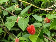 -东钱湖旅游度假区