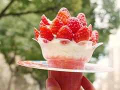 -伏小桃(明瓦廊店)