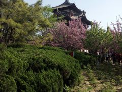 -西安青龙寺遗址景区
