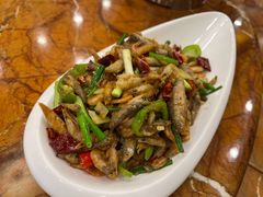 -双福饺子营餐厅(财富广场店)