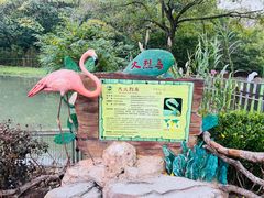 -上海野生动物园