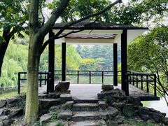 -上海共青森林公园