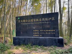 -缙云山景区