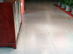 -饭怕鱼(阳光100店)
