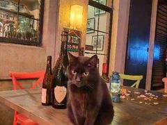 -SISTERS BAR RESTAURANT川意酒馆(嘉善老市H楼店)