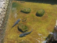 -耕渔小院·湖南鱼鲜(望城店)