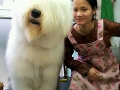 android_upload_pic-唐小姐の猫狗洗护·购宠旗舰店(周浦万达店)