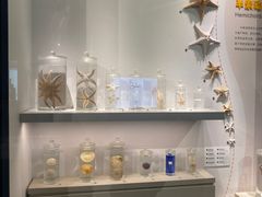 -四川大学博物馆